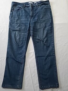 Northern Reflections Everyday Slim Blue Jeans Women's Size 14 Petite